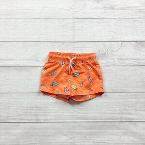 Cat & Jack Popsicle Swim Shorts
